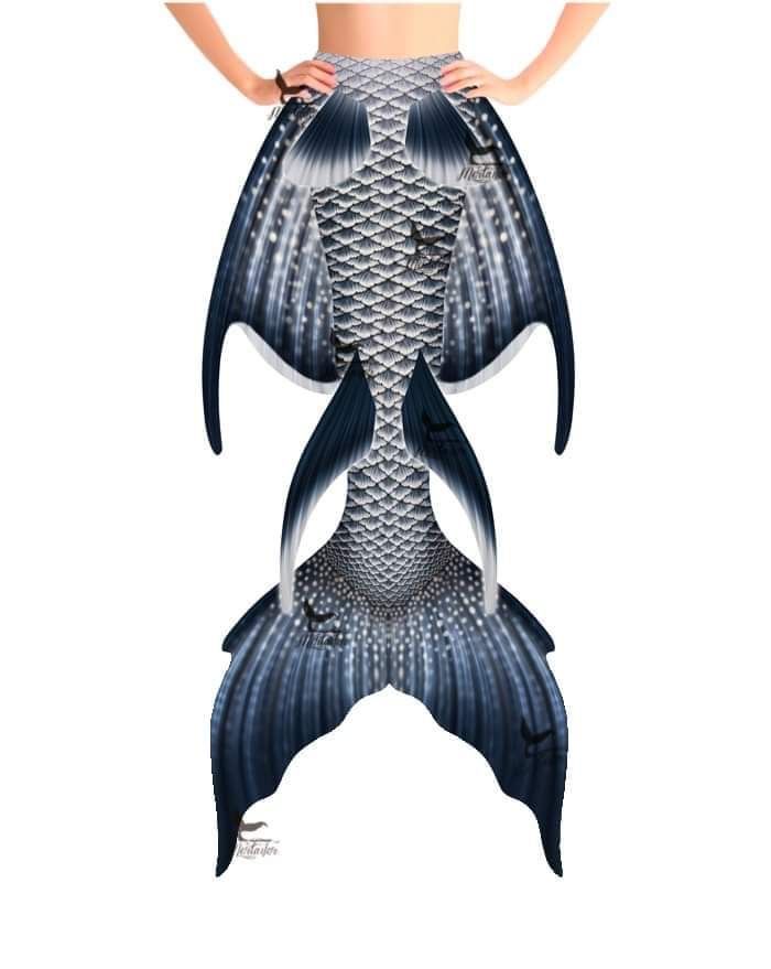 French Angelfish Whimsy Tail