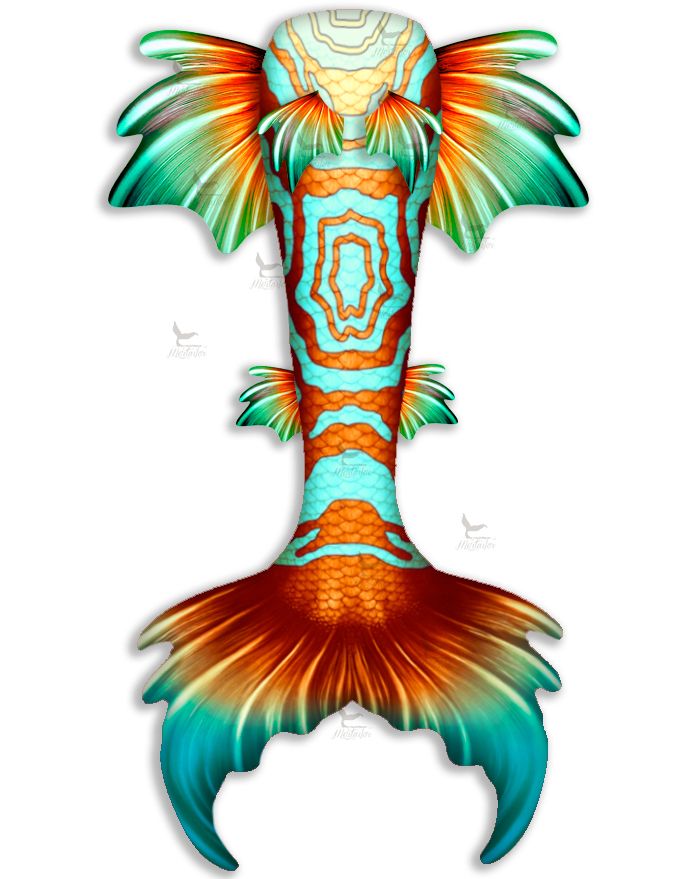 Calypso Whimsy Fantasea Tail
