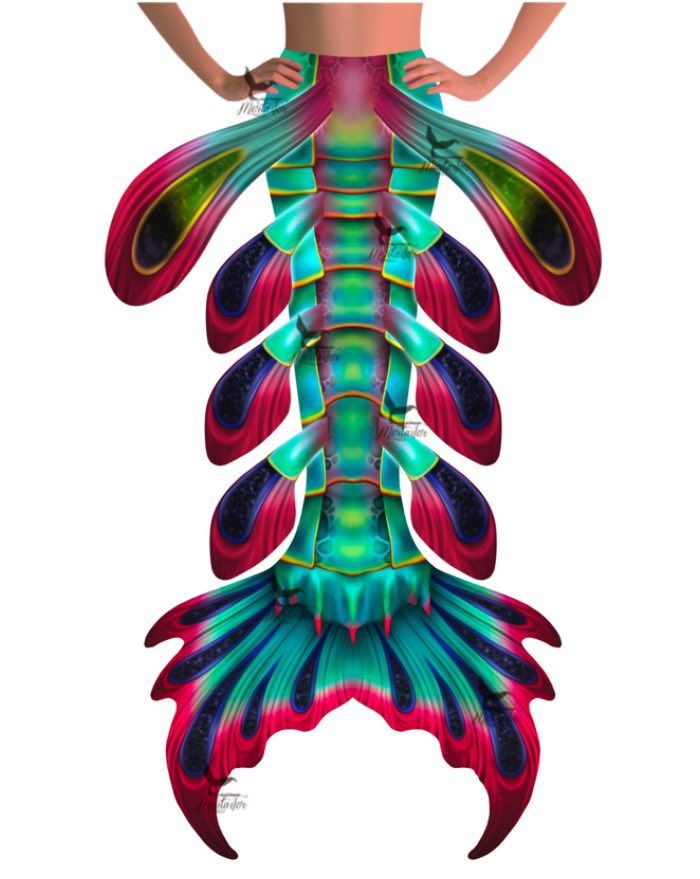 Peacock Mantis Shrimp Whimsy Fantasea Tail "Too"
