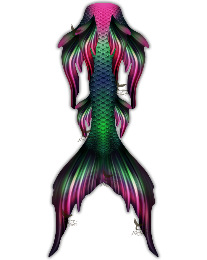 Venus Betta Whimsy Tail "Original"