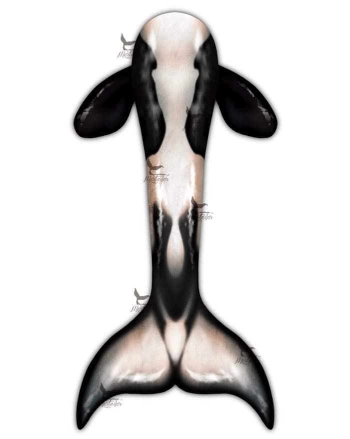 Orca Whimsy Fantasea Tail