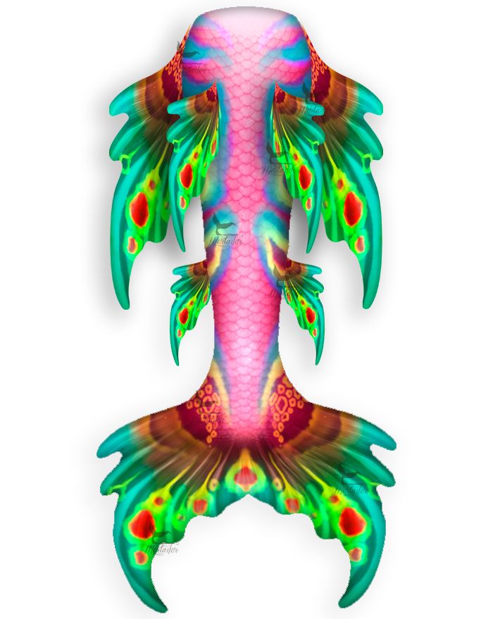 Rainbow Parrot Whimsy Fantasea Tail
