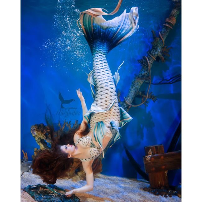 Sandcastle Dreams Whimsy Fantasea Tail 