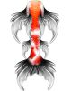 Sanke Butterfly Koi Whimsy Fantasea Tail