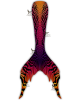 Tigris Sunset Whimsy Tail 