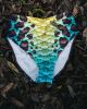 Wicked Nautilus High Tide Swim Bottom