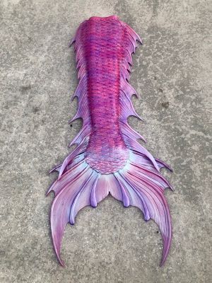 Rosa Breeze Odyssey Tail