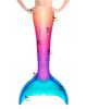 Treasure Coast Whimsy Mermaid Tail 