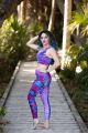 Periwinkle Serenade Legging