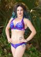Periwinkle Serenade Low Tide Bottom