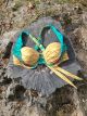 Siren's Allure Aphrodite Padded Bikini Top