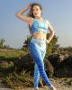 Aquatic Phoenix Legging