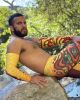 Autumn Sphinx Arm Sleeves (Set of 2)