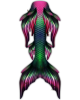 Venus Betta Whimsy Tail 
