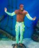Kooler Kelp Legging 