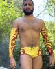 Autumn Sphinx Square Cut Brief