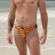 Rising Phoenix Surfer Brief