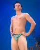 Seven Seas Surfer Brief