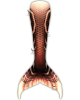 Tannin Tides Fantasea Tail Skin