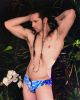 Water's Journey Surfer Brief