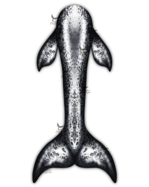 Narwhal Whimsy Fantasea Tail