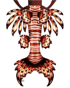 Lions Lair Whimsy Fantasea Tail 