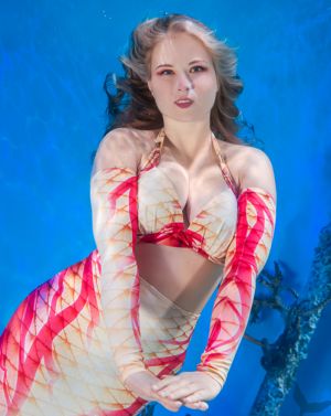 Aphrodite Seas Arm Sleeves (Set of 2)