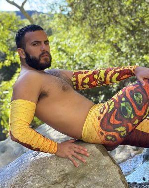 Autumn Sphinx Arm Sleeves (Set of 2)