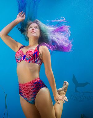Calypso Mist High Tide Swim Bottom