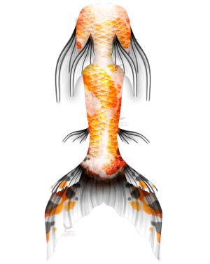 Kawarimono Koi Whimsy Fantasea Tail