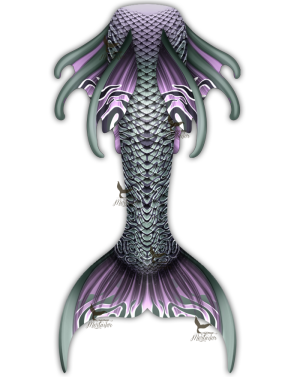 Front W/All Fins