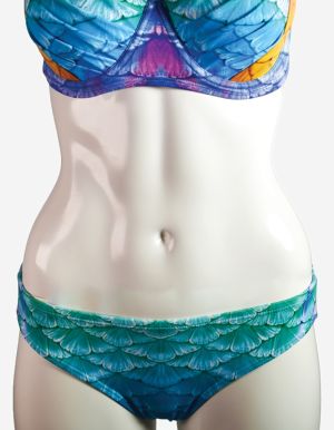 Rainbow Dream Low Tide Bottom