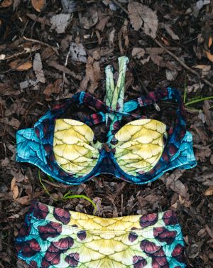 Wicked Nautilus Aphrodite Padded Bikini Top
