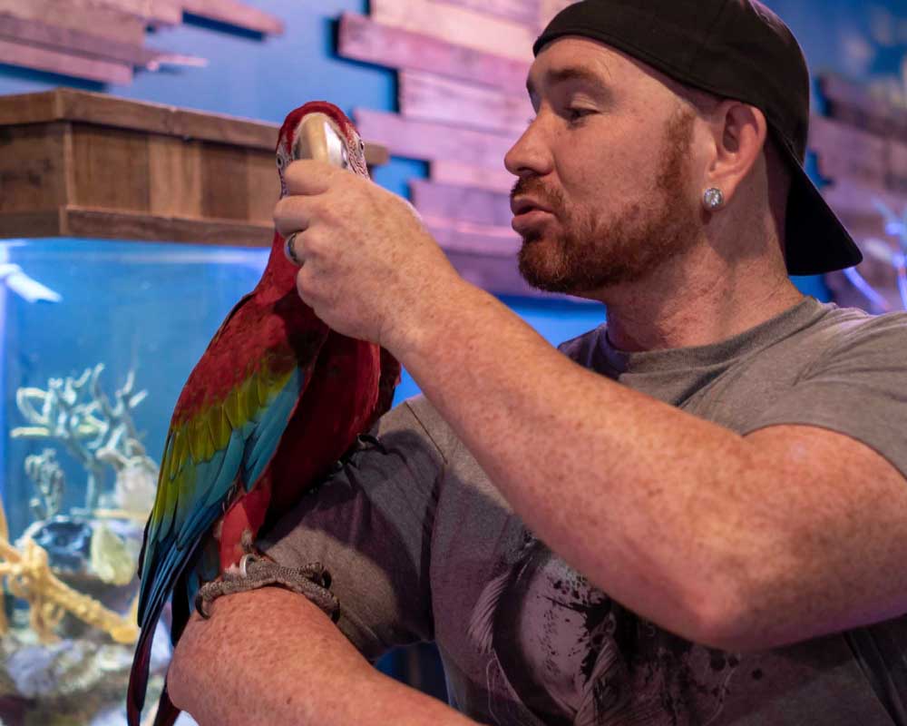 Rescued macaw in the aviary at Mertailor's Mermaid Aquarium Encounter