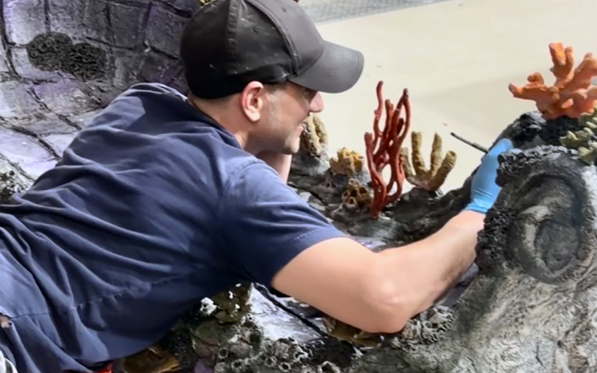 Behind the scenes exhibit fabrication at Mertailor aquarium
