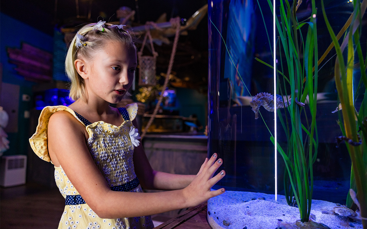 Guests exploring Mertailor's Mermaid Aquarium Encounter