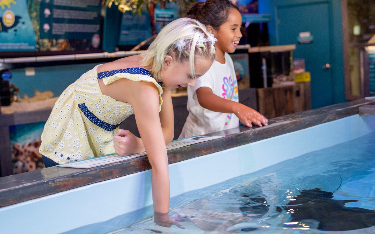 Aquarium exhibit at Mertailor near Crystal River Florida
