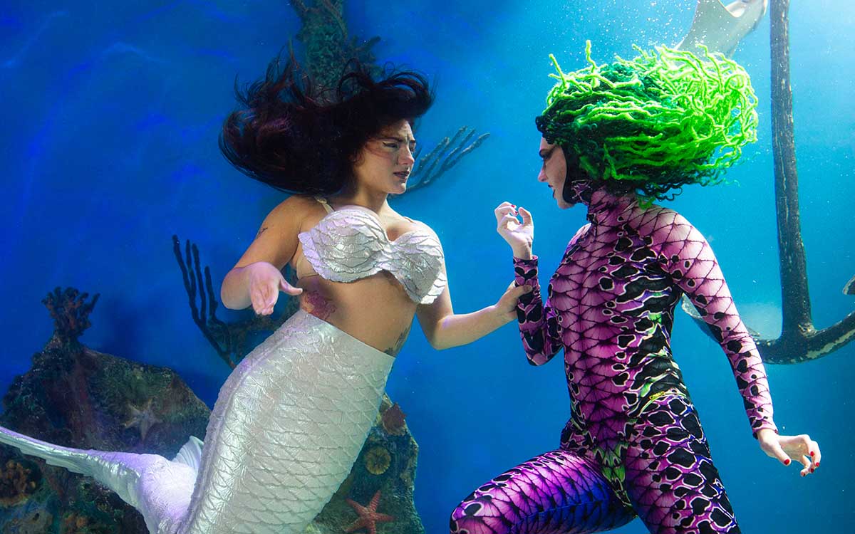 Professional underwater mermaid performance at Mertailor's Mermaid Aquarium Encounter