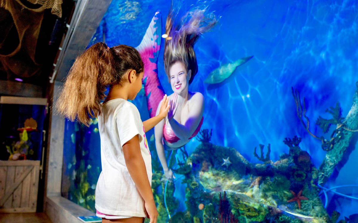 Live underwater mermaid show in Citrus County Florida