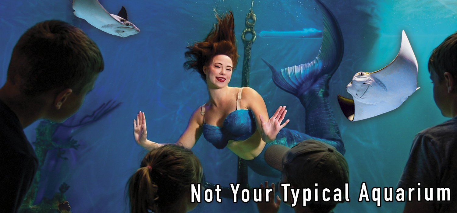 Mermaid Aquarium Banner 1