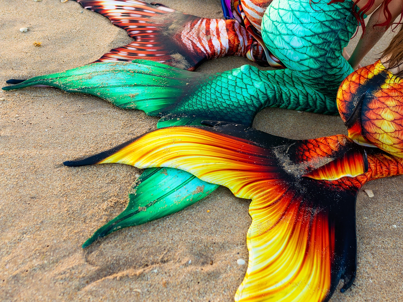 Mertailor mermaid tail collections