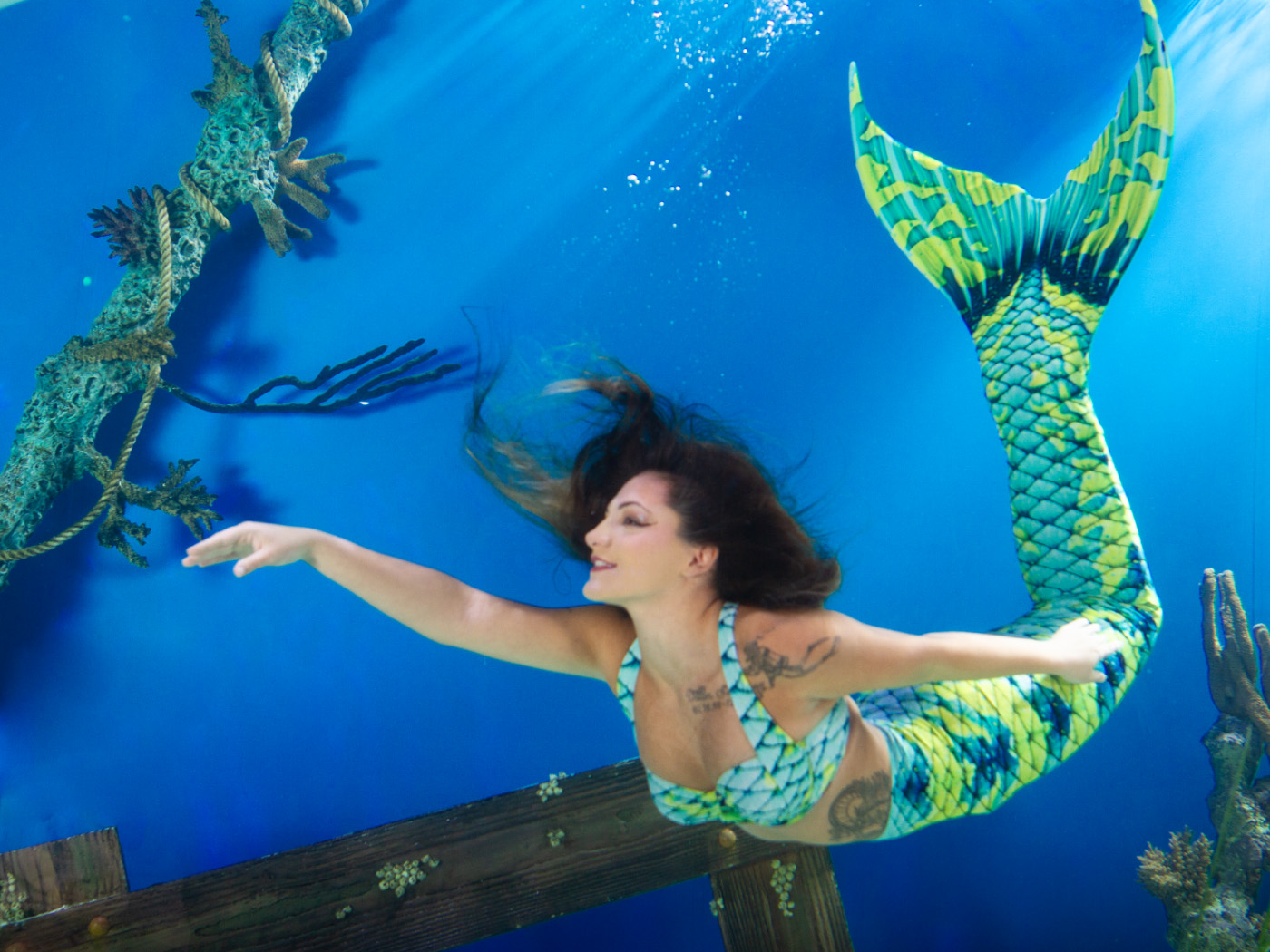 Mertailor Fantasea Mermaid Tail Skin with Original Fantasea Fin