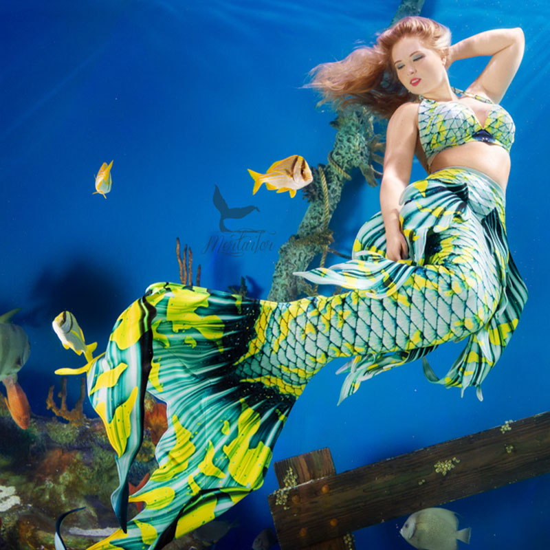 Mermaid Tail Guide Assistant