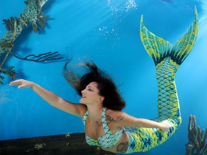 Spandex Fantasea Tail Skin