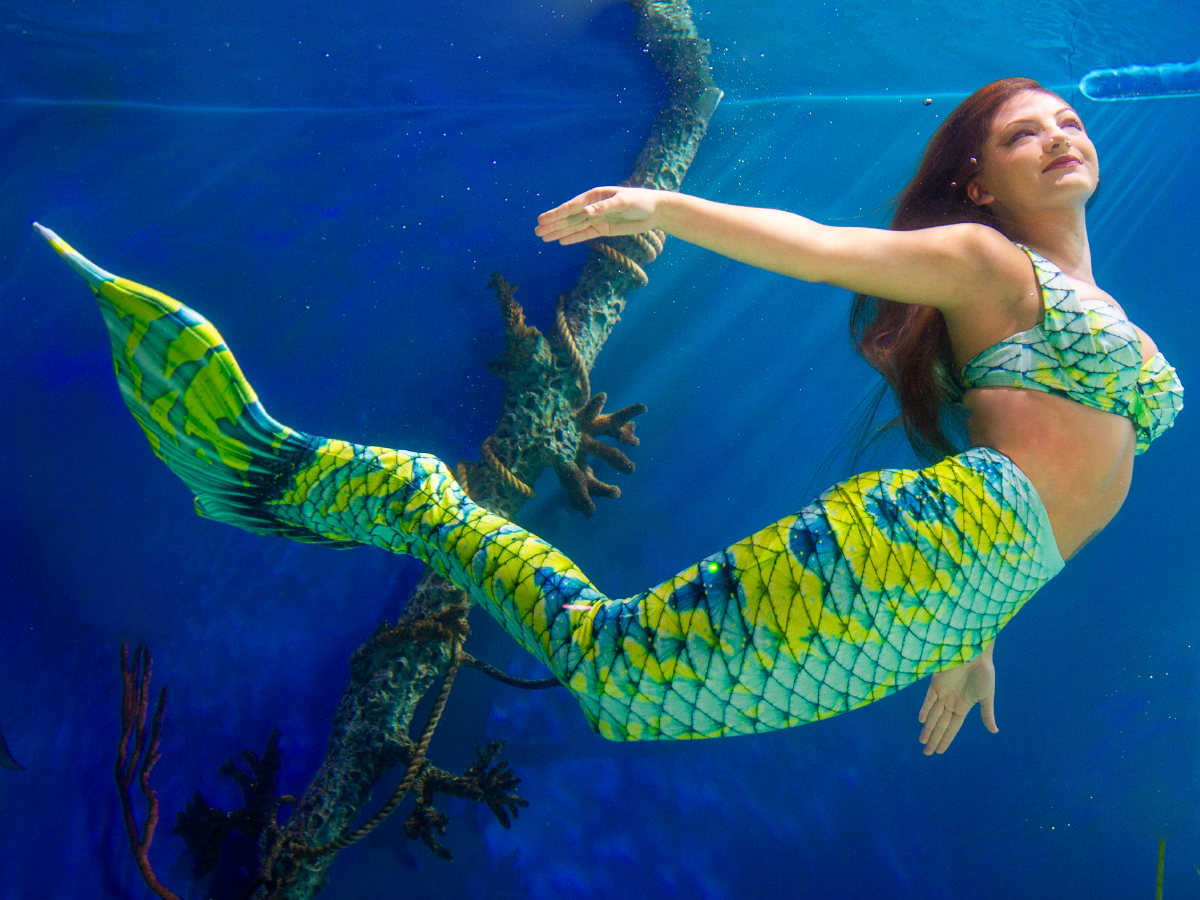 Mertailor Fantasea Mermaid Tail Skin with Original Fantasea Fin