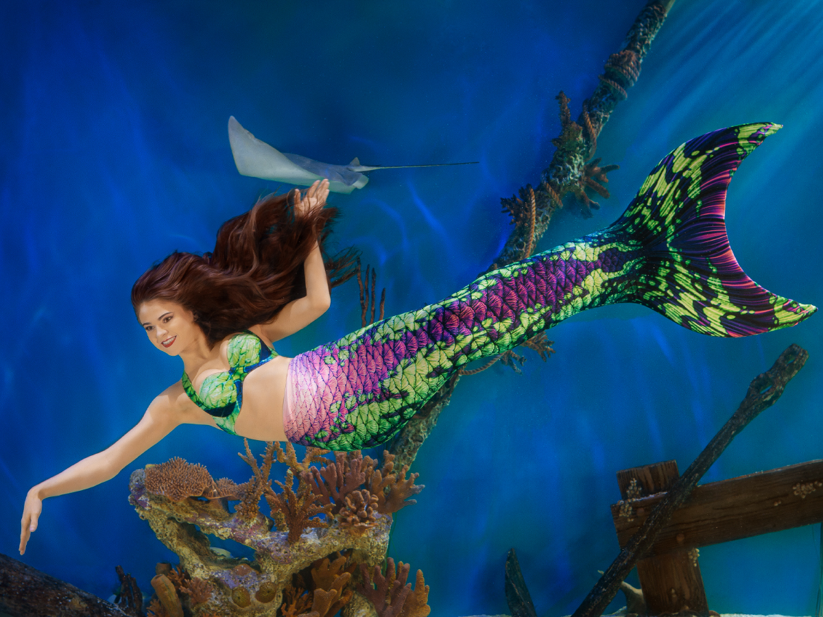 Mertailor Guppy Mermaid Tail for swimming