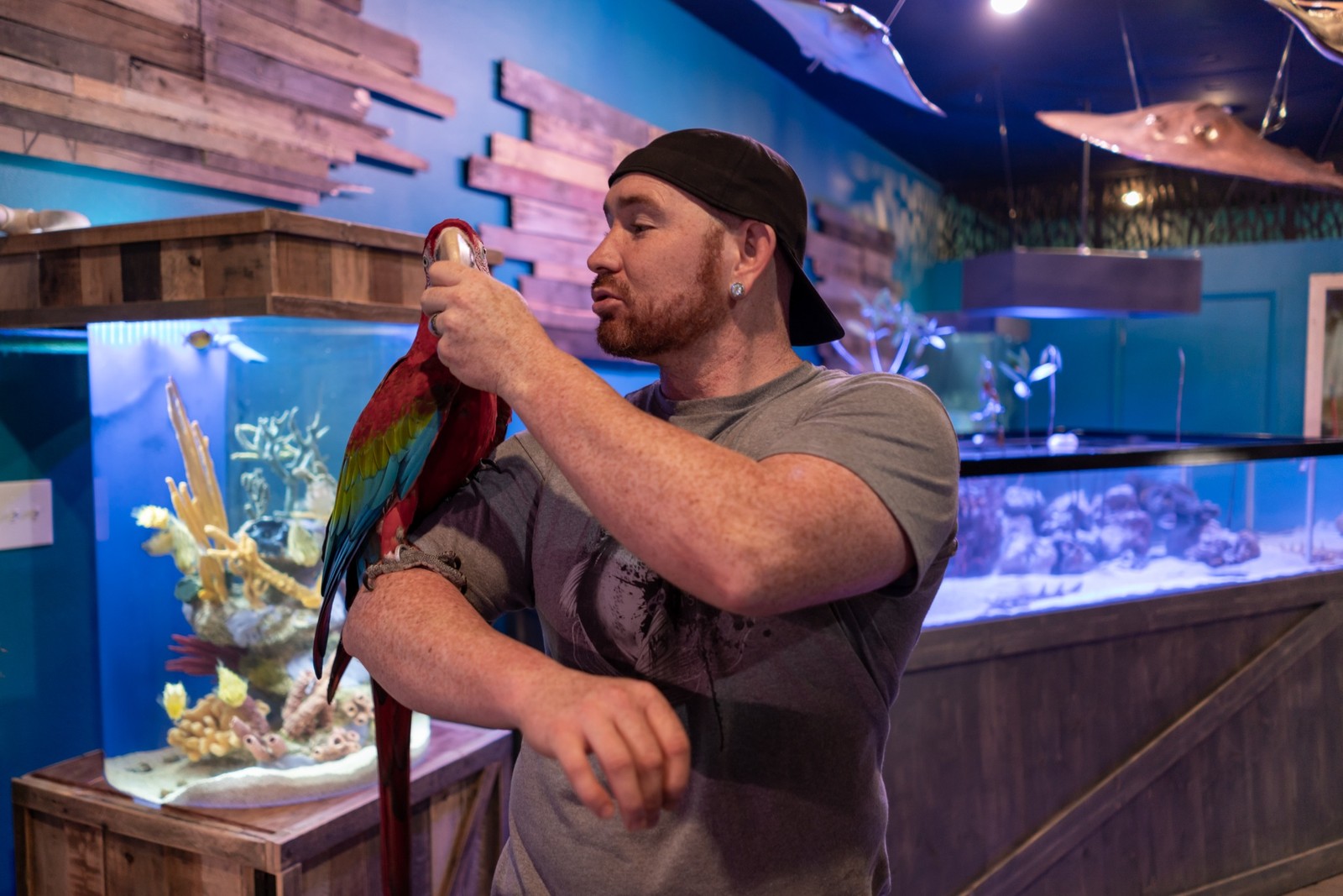 Eric Ducharme and Tomas during the Mertailor aquarium era
