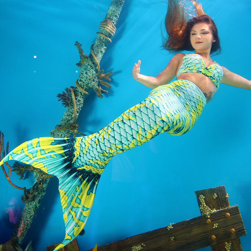 Mertailor Fantasea fabric mermaid tail