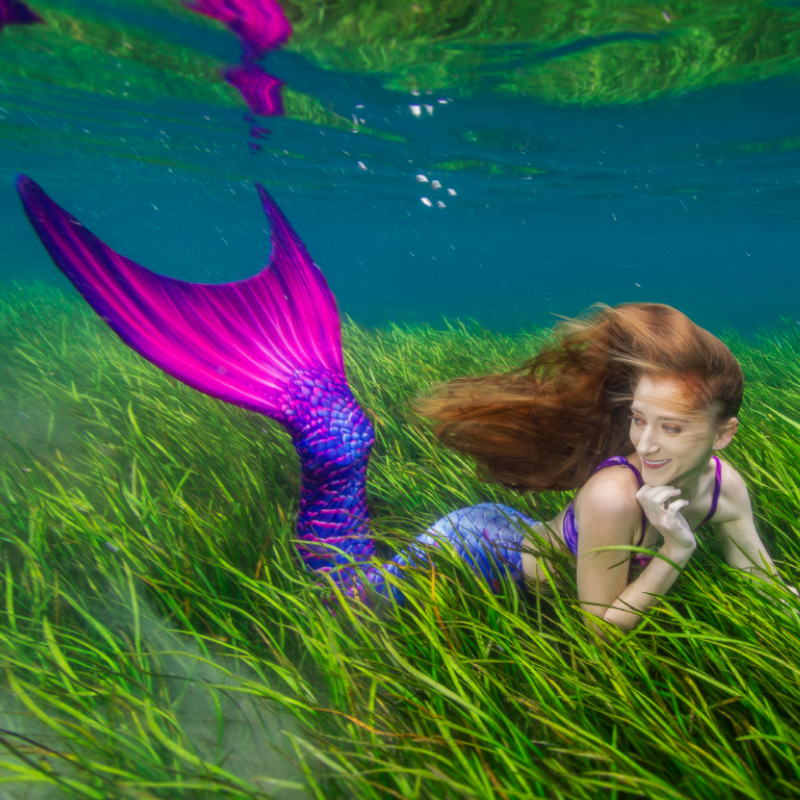 Mertailor Guppy mermaid tail