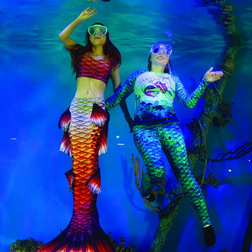 PADI Mermaid Certification Logo